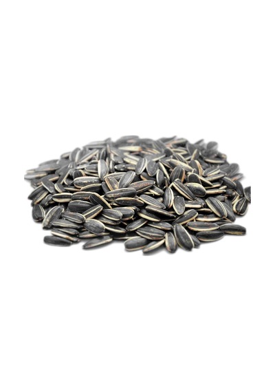 Tuzsuz Siyah Ay Çekirdeği 500 G