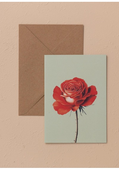 The Mia Art Line Mini Tebrik Kart Seti Rose 10 X 14 Cm