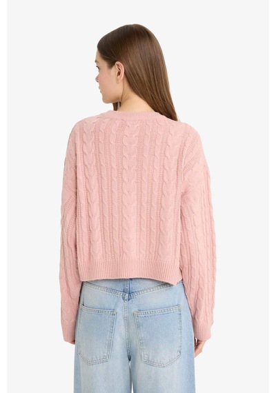 Defacto Coool Regular Fit Bisiklet Yaka Triko Kazak T4518az25wnpn83 Pembe
