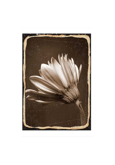 Bedeko Kahverengi Tonlarında Çiçek Mdf Poster 35 Cm X 50 Cm