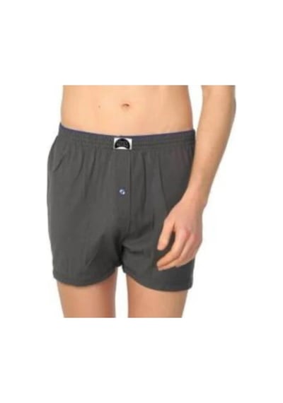 3 Lü Paket Gümüş Erkek Penye Boxer Düz Renk Pamuklu Erkek Boxer
