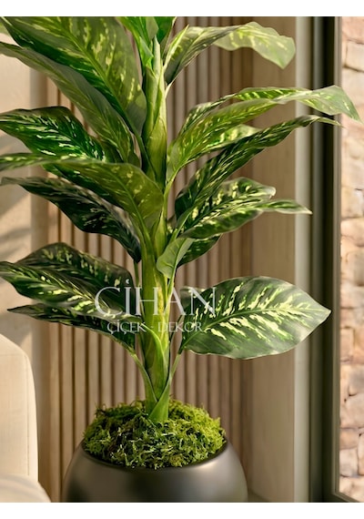 Yapay Difenbahya Ağacı 120 Cm 27x33 Cm Siyah Küre Saksı Beyaz