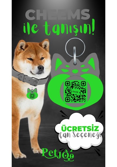 Petjoo 18.Cheems Yeşil-Gri Qr'lı Köpek Künyesi