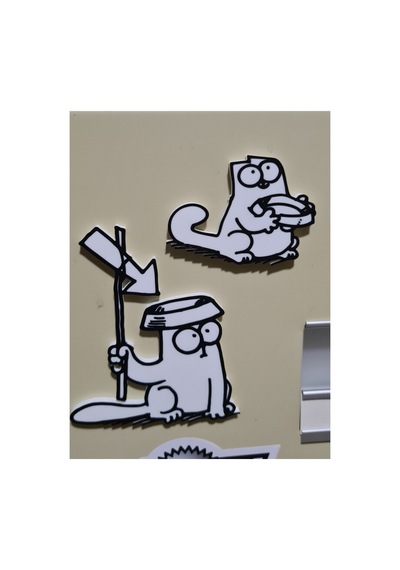 3d Baskı Sevimli Kedi Magnet Seti Mıknatıslı Dekor