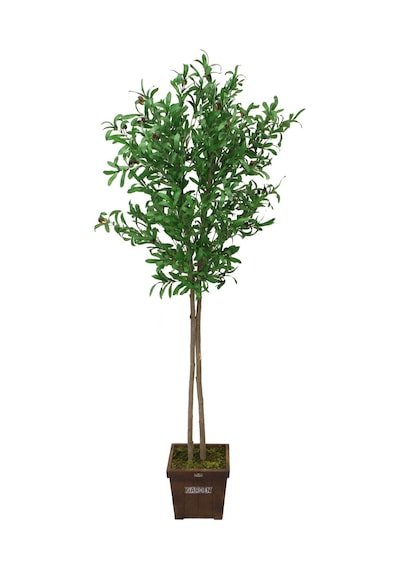 Yapay Çiçek Deposu Saksıda Yapay Zeytin Ağacı Büyük Boy 200 Cm