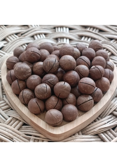 Toptan Kabuklu Kavrulmuş Makademya Fındığı 10 Kg 10 KG