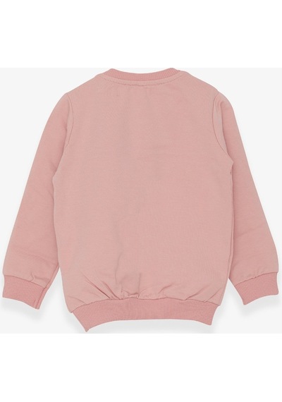 Breeze Kız Çocuk Sweatshirt Ayıcık Aksesuarlı 1.5-5 Yaş, Somon (556838394) Çok Renkli