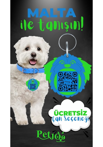 Petjoo 12.Malta Yeşil-Mavi Qr'lı Köpek Künyesi