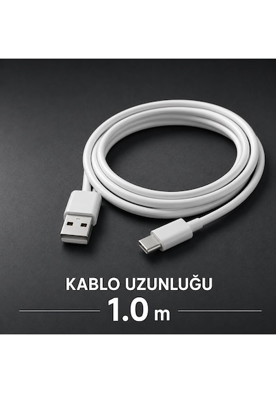 Hepu Hp-431 Royal Usb To Type-c Kablo Hızlı Şarj & Veri Aktarımı 1 Metre 0.1 M