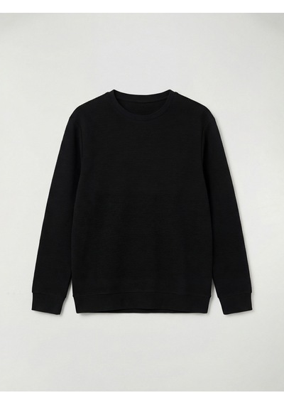 Lcw Eco Siyah Bisiklet Yaka Dokulu Erkek Sweatshirt