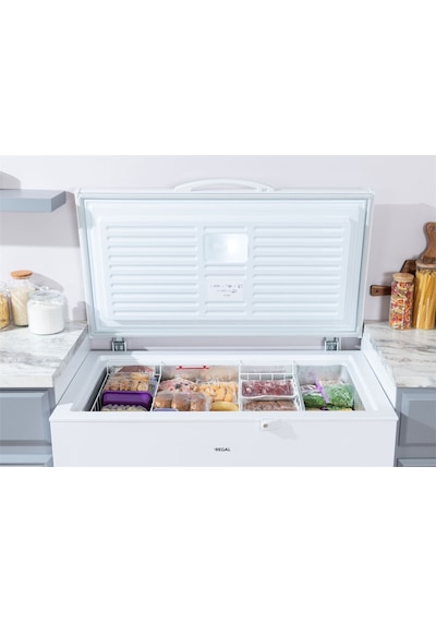 Regal SD Dual 3020 268 LT Sandık Tipi Derin Dondurucu