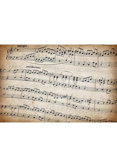 Müzik Notaları Özel Tasarım Duvar Kağıdı (415202557)