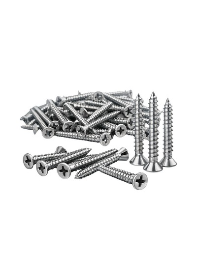 Krom Vida 4x20mm 50 Adet Paslanmaz Inox Vida Diğer