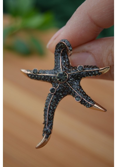 Stoneage Deniz Yıldızı Zirkon Taşlı Bayan Küpe Madeni Bronz Çok Renkli
