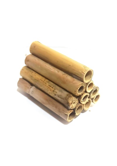 10'lu Uretim Kamışı 10 Cm
