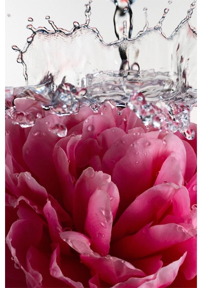Athena Club Petal Bloom Alüminyumsuz Tüm Vücut Stick Deodorant 85gr