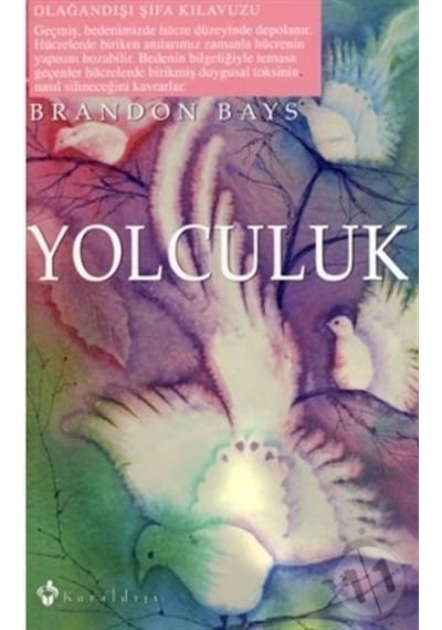 Yolculuk - Brandon Bays - Kuraldışı Yayınları