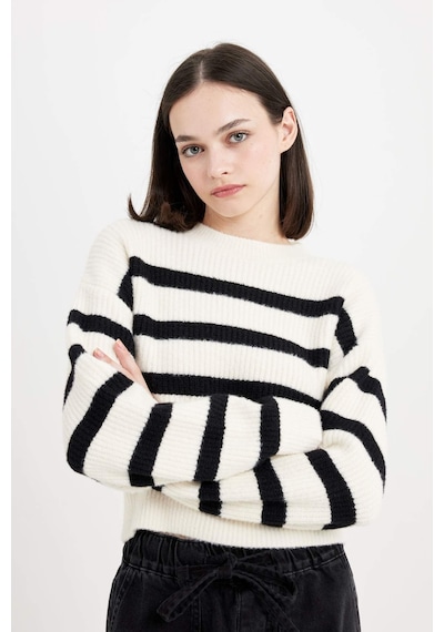 DeFacto Regular Fit Çizgili Bisiklet Yaka Triko Kazak	 R1285AZ24CWBK27