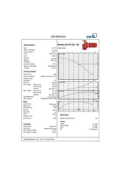 Ksb Betaline Gn 40-125 1,5 Kw