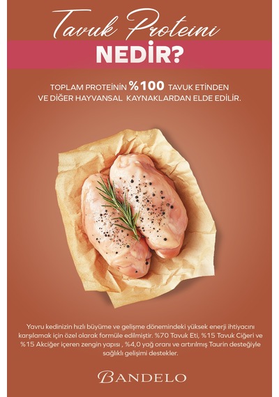 Tavuklu Yavru Yaş Konserve Kedi Maması - %100 Hayvansal Proteinli Jöleli Parça Etli,400 Gr X 12 Adet