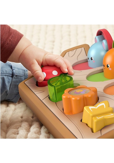 Fisher Price Sürprizli Arkadaşlar Aktivite Oyuncağı