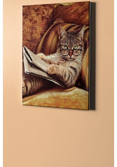 Webstyle Sayılarla Boyama Seti Kasnaklı Entel Kedi 40 X 50 Cm