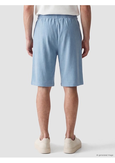 Lcwaıkıkı Classic Mavi Regular Fit Erkek Şort