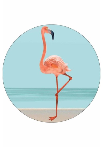 Turkuaz Flamingo Banyo Halısı Klozet Oval Paspas Seti Bs085n11