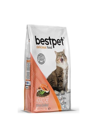 Bestpet Sterilised Somonlu Kısırlaştırılmış Yetişkin Kedi Maması 1 KG