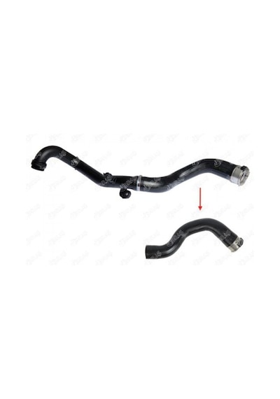 Turbo Hortum Ve Conta - Fiat Tipo, Egea - Ibras-13119 94174009