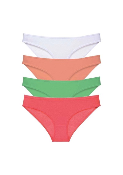 4 Adet Süper Eko Set Likralı Kadın Slip Külot 526 Çok Renkli