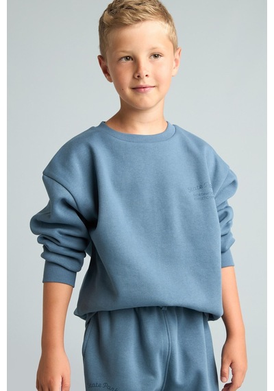 Defacto Bisiklet Yaka Efekt Nakışlı Sweatshirt Erkek Çocuk H9683a826wnbe739 Mavi-be739