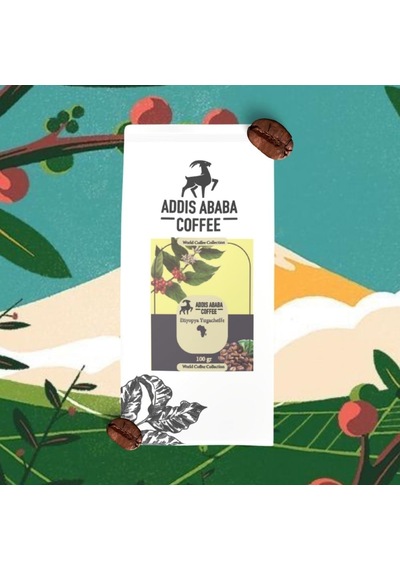 Dünya Kahveleri 6 Çeşit X 100 Gr - Arabica - / Brezilya Santos/endonezya/etiyopya Sidamo/etiyopya Yirgacheffe/guatema Aeropress