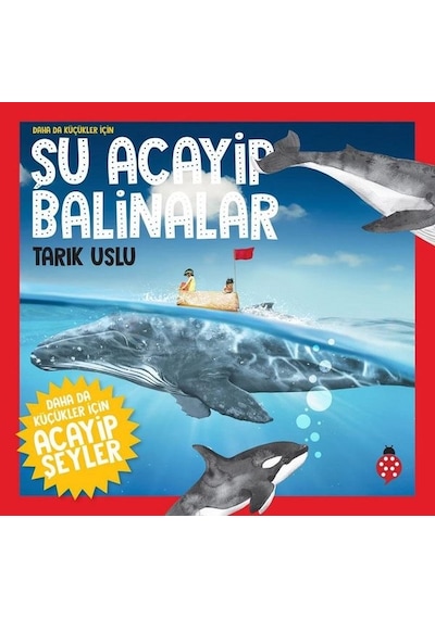 Daha da Küçükler İçin Şu Acayip Balinalar- Uğurböceği
