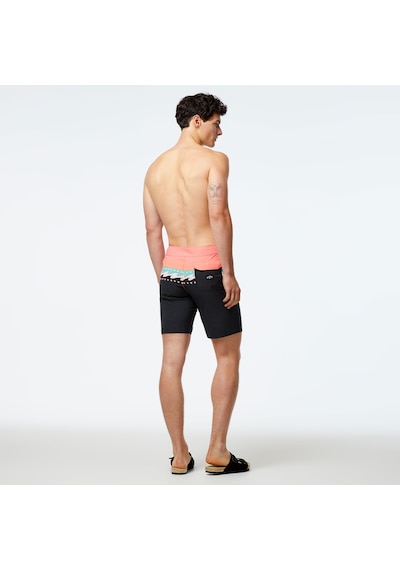 Billabong Momentum Pro 19 Erkek Renkli Mayoşort - Abybs00456 Çok Renkli