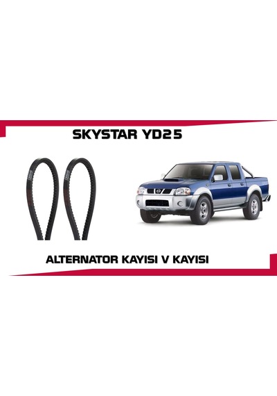 Skystar Alternator Kayısı Takım 2 Lı Yd25