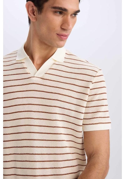 DeFacto Regular Fit Polo Yaka Çizgili Triko Kısa Kollu Tişört C4150AX25SMBN312