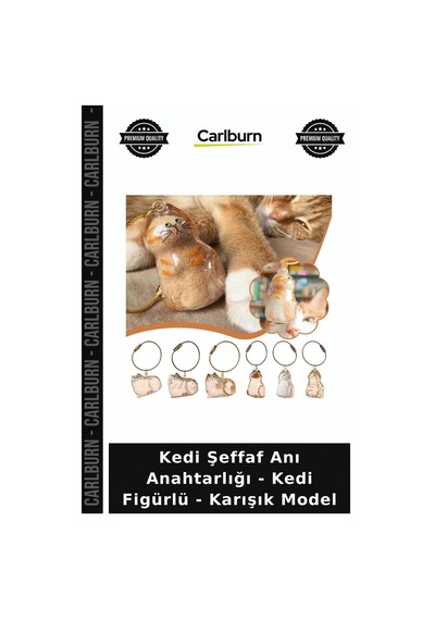 Özel Üretim Hatıra Aksesuar Kedi Şeffaf Anı Anahtarlığı - Kedi Figürlü - Karışık Model