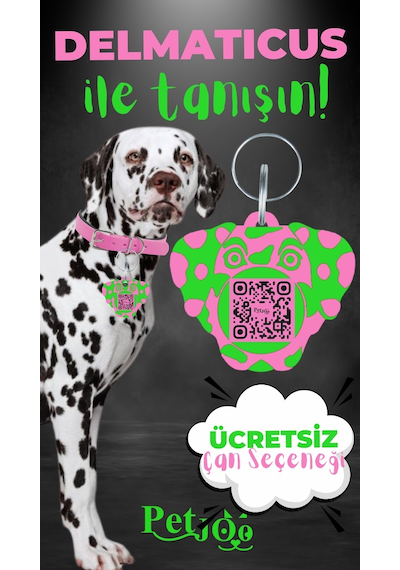 Petjoo 28.Delmaticus Yeşil-Pembe Qr'lı Köpek Künyesi