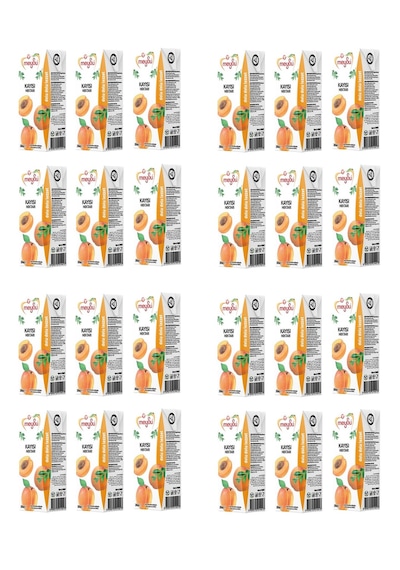 Meysu Kayısı Nektarı 200 Ml X 24 Adet