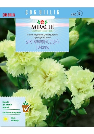 Miracle Marie Chabaud Sarı Karanfil Çiçeği Tohumu 190 Tohum