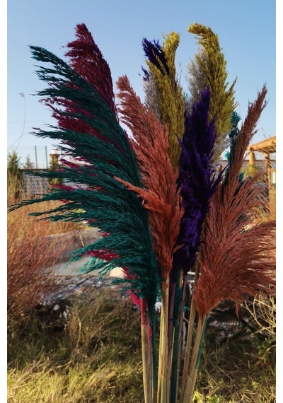 15'li Dekoratif Karışık 100cm Boyunda Pampas Çok Renkli