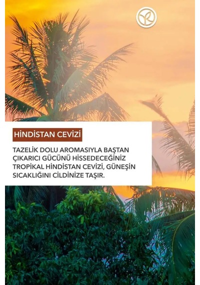 Konsantre Duş Jeli Tropikal Hindistan Cevizi 100 Ml - Doz Ayarlı Seyahat Boy Ekolojik Banyo Jeli Diğer
