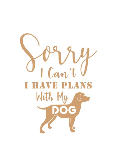 Paybuy Erkek Oversize Tişört Köpek Baskılı Özür Dilerim Planlarım Var Gü Siyah