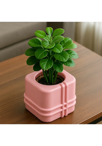 3d Baskı Square Planter - Izgara Desenli Küp Saksı-pembe