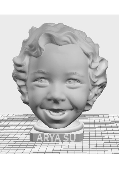 Fotoğraftan Kişiye Özel 3D Büst (10-13 cm)
