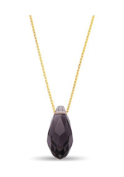 Argentum Concept Altın Kaplama Gümüş Zincirli Kristal Ametist Kolye - N166301