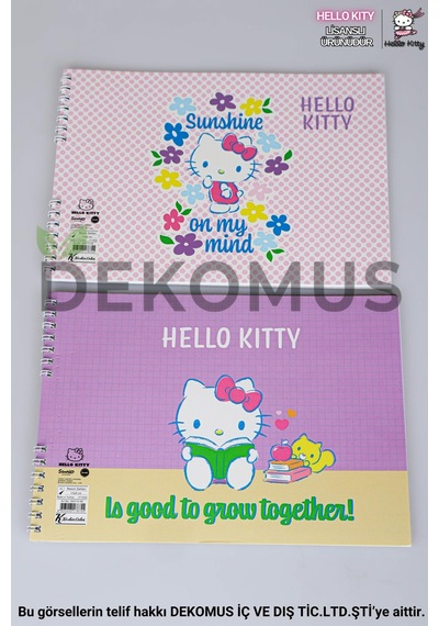 Dekomus İle Lisanslı Hello Kıtty "tekli" Resim Defteri 17 24 Cm 15 Yaprak