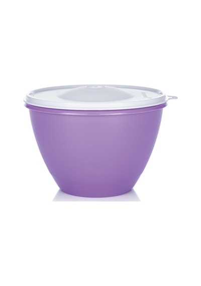 Tupperware Kubbeli Saklama Kabı 1.9 L Lila
