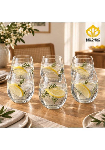 Tr Cam Su Bardağı Seti 6'li, Her Bardak 480 Ml, Şeffaf Tombul Meşrubat Bardağı, Yuvarlak Gövdeli Limonata Ve Meyv Genel